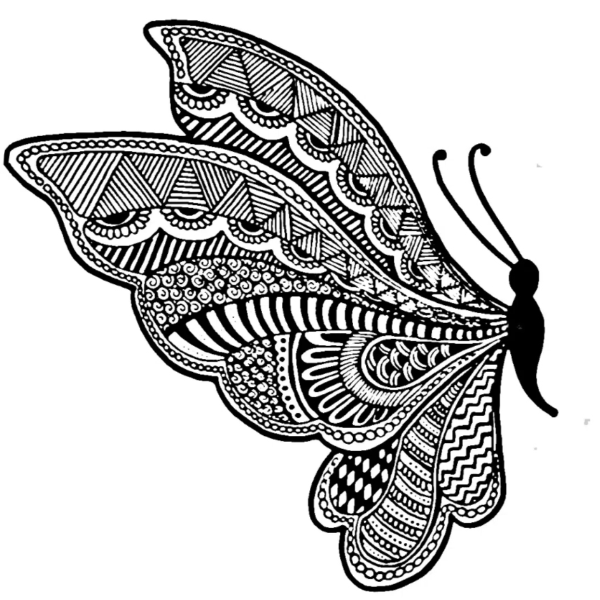 Ausmalbilder Für Erwachsene Schmetterling