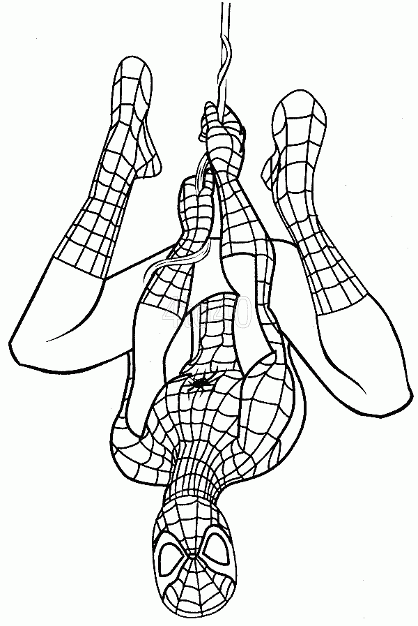 Spiderman Bilder Zum Ausdrucken