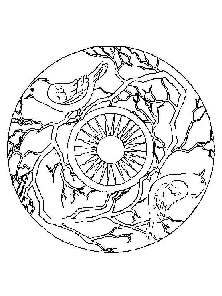 Vogel Tiere Mandala Zum Ausmalen