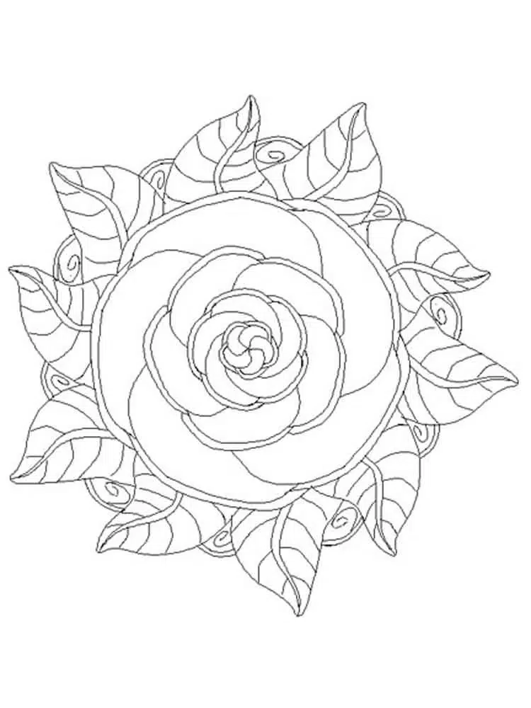 Blumen Mandala Bilder Zum Ausmalen