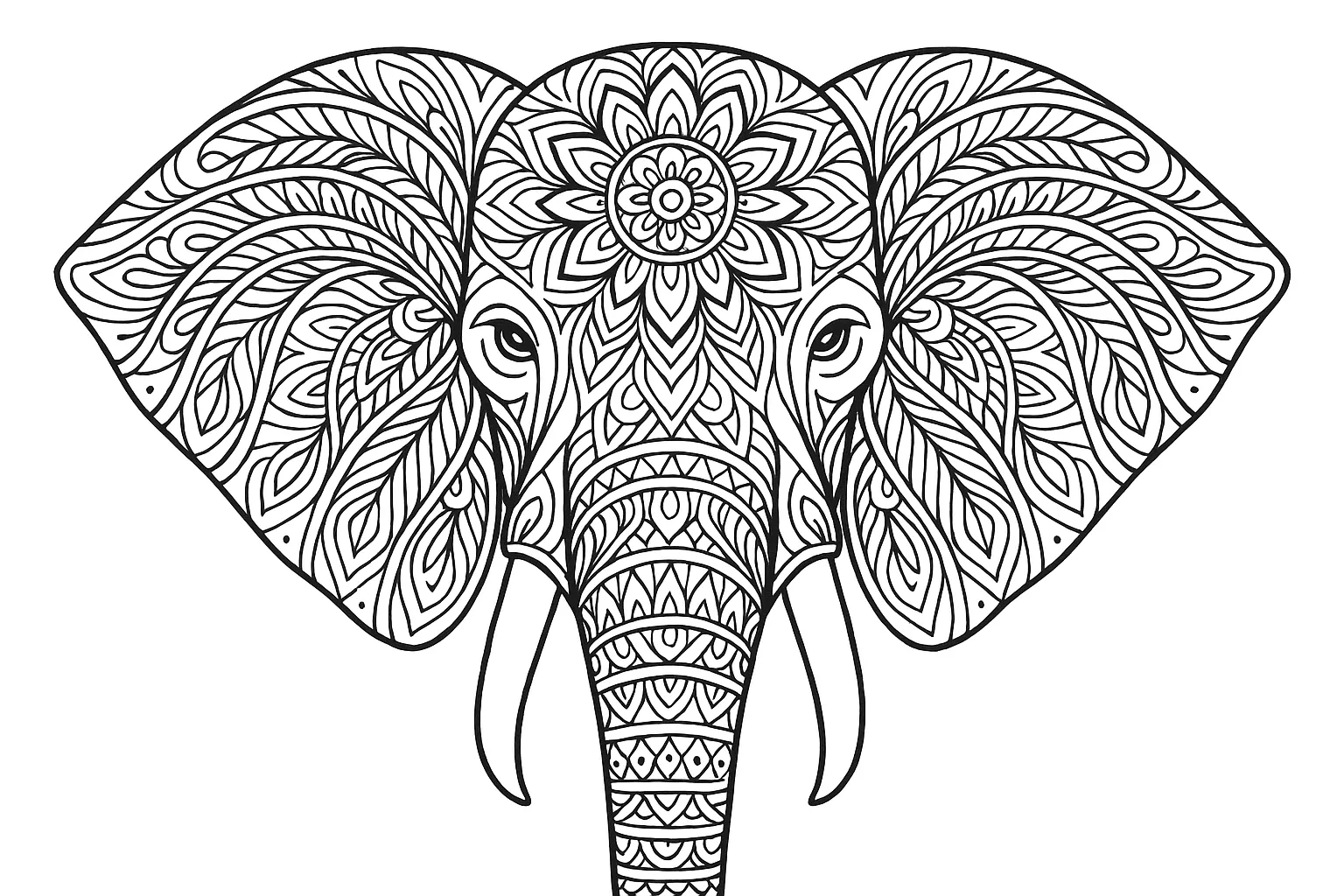 Zentangle Mandala Elefant Malvorlage Für Erwachsene